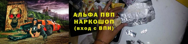 СК Алексин