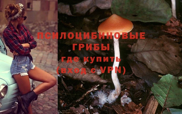 ГАЛЛЮЦИНОГЕННЫЕ ГРИБЫ Алзамай