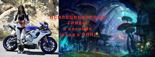 СК Алексин