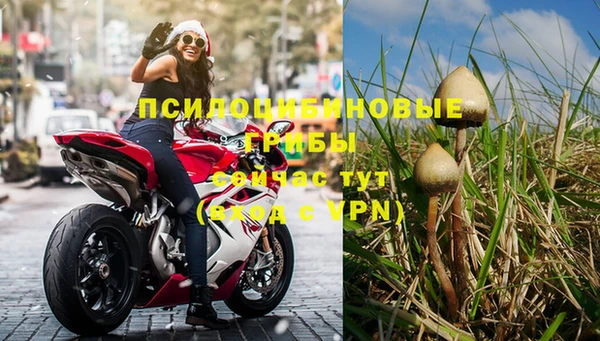 дживик Абинск
