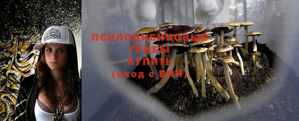 ГАЛЛЮЦИНОГЕННЫЕ ГРИБЫ Алзамай