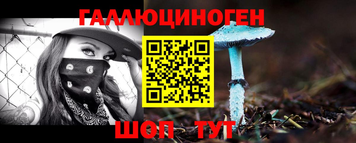 Псилоцибиновые грибы Psilocybe  Вход с VPN  Зеленокумск 