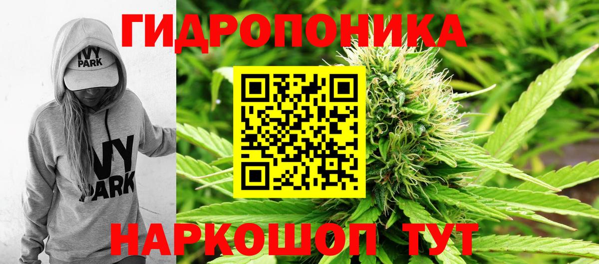 Зеленокумск  Марихуана ГИДРОПОН  МАРИХУАНА Bruce Banner  Вход с VPN  МАРИХУАНА планчик 